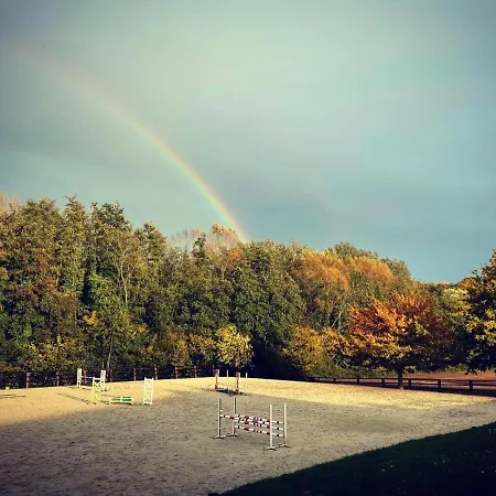 Du Fournil « chez Nicole » Ully-Saint-Georges